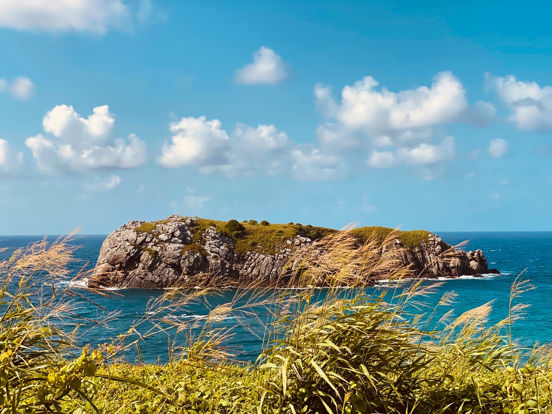 "Praia da Conceição", "Fernando de Noronha", paraíso, "ilhas paradisíacas",golfinhos, ecoturismo, natureza