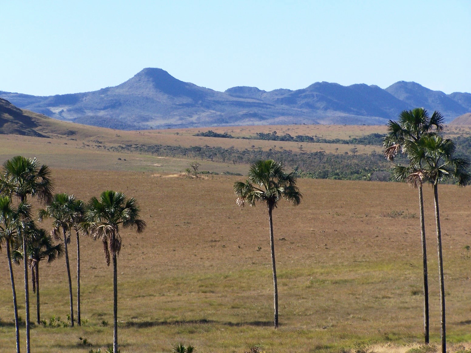 buritis jardim de maitrea.jpg