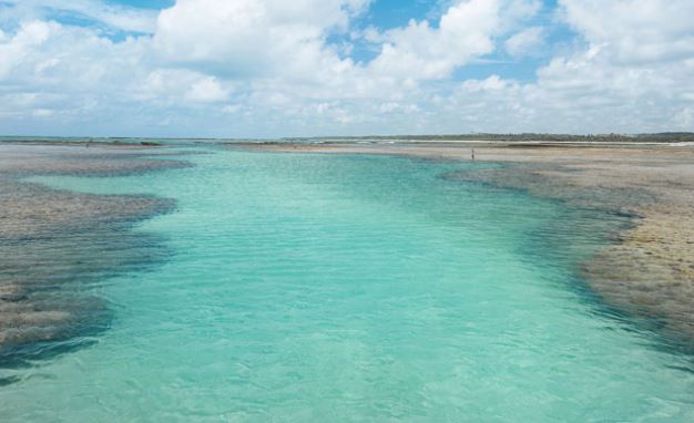 Paraíso, pousada, praias, Alagoas, "Rota Ecológica", "São Miguel dos Milagres", Patacho, "roteiros ecológicos", ecoturismo, natureza, "turismo de base comunitária"