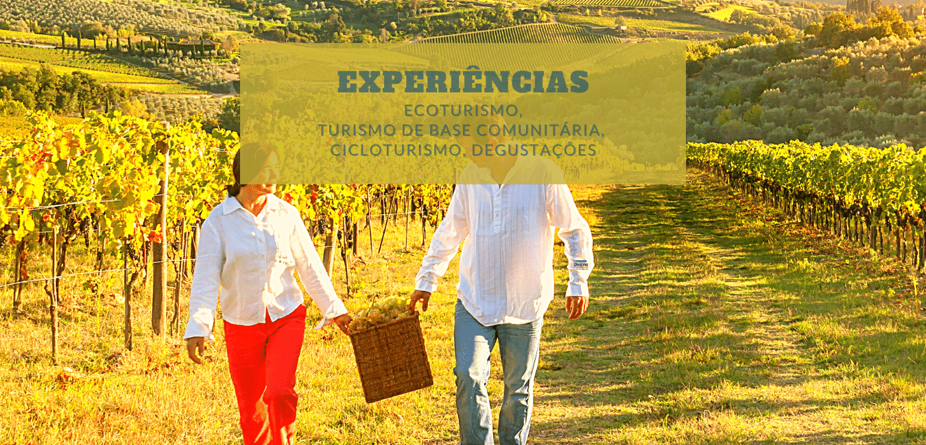 degustações, passeios, vinícolas, Gramado, Canela, "Bento Gonçalves", "Sul do Brasil", paisagens, "slow travel"