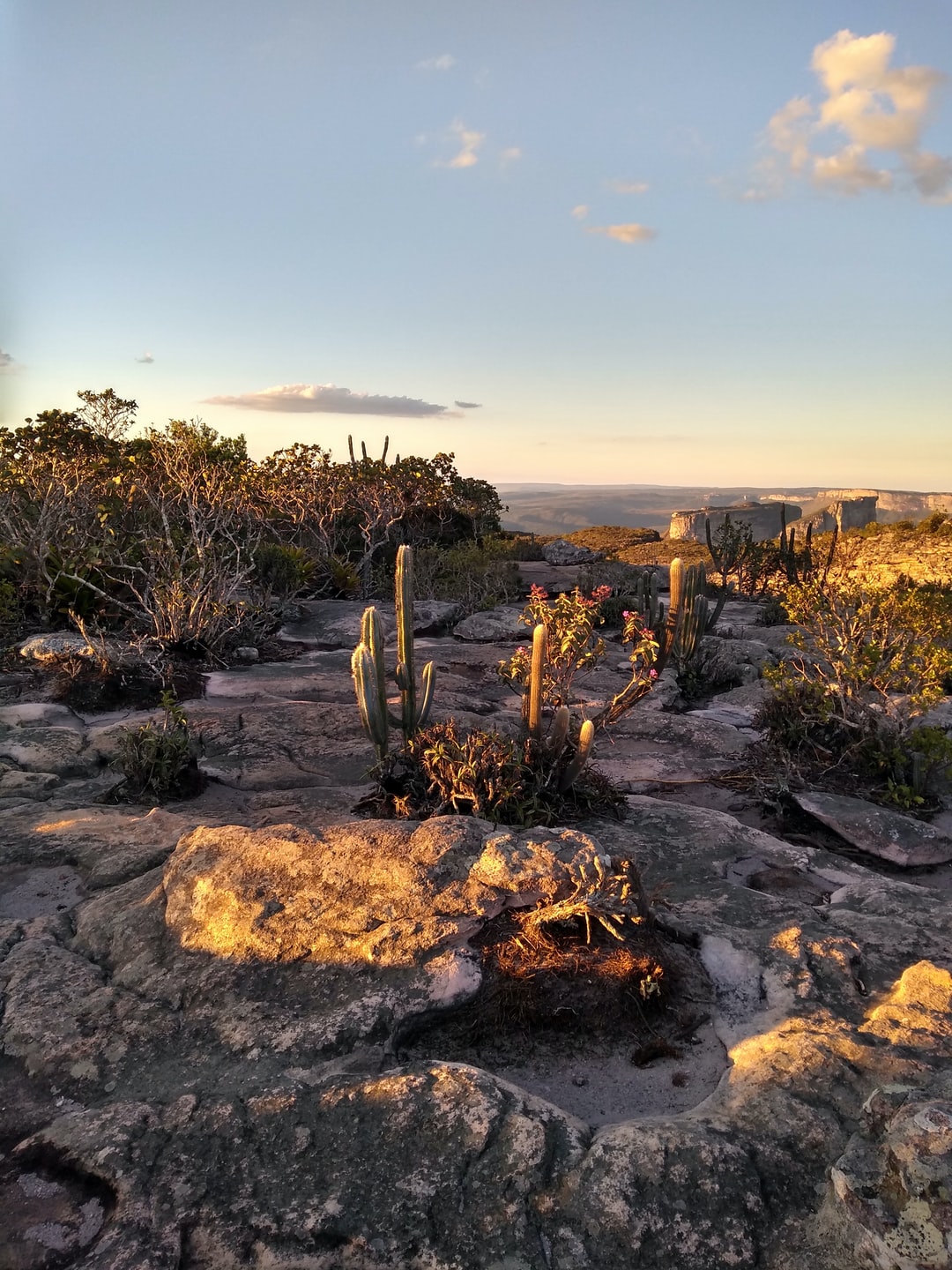Chapada Diamantina, natureza, roteiros no Brasil, Brasil, ecoturismo