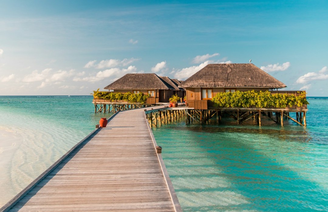 Walk way to the water villa
#maldives #maldivian #visitmaldives #beachlife #tropicalvibes #nature #dronestagram #discoverearth #earthoutdoors #earthfocus #seemaldives #ocean #visualsoflife #createcommune #travel #amazingplaces #beautifuldestinations #fromwhereidrone #bevisuallyinspired #agameoftones #theimaged