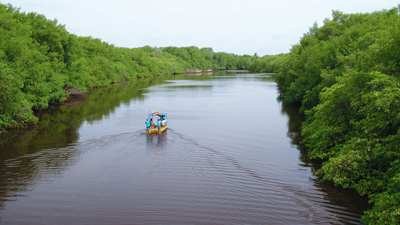 Paraíso, pousada, praias, Alagoas, "Rota Ecológica", "São Miguel dos Milagres", Patacho, "roteiros ecológicos", ecoturismo, natureza, "turismo de base comunitária"